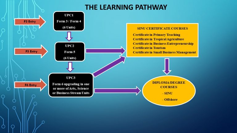 The Pathway Diagram